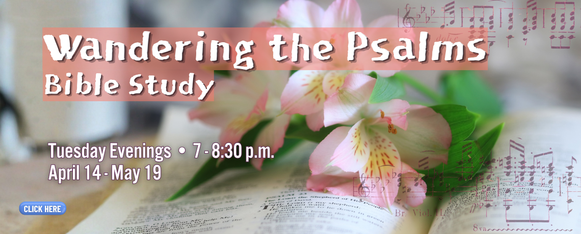 Psalms Bible Study